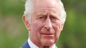 Queen Camilla's warning to King Charles ahead of his prostate operation