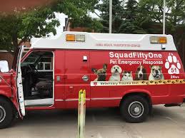 Pet emergency of martin county has been providing quality and affordable emergency care for the treasure coast area for more than 18 years. Woman Creates Pet Ambulance To Help Animals In Need