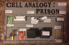 Plant and animal cell analogy project. 7 Best Cell Analogy Project Ideas Cell Analogy Science Cells Cells Project