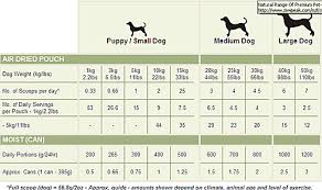 Food Requirements Of Dogs Custom Paper Sample
