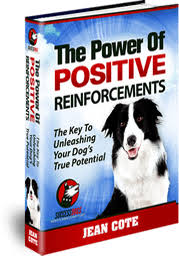 How to start your puppy off right by dr. Free Dog Training Ebook The Power Of Positive Reinforcements