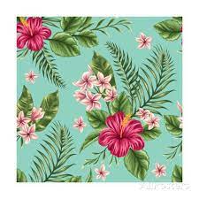Vector seamless pattern with colorful butterflies and flowers. Tropical Floral Seamless Pattern With Plumeria And Hibiscus Flowers Posters Por Hoverfly Na Allposters Tropical Flowers Pattern Vector Flowers Flower Wallpaper