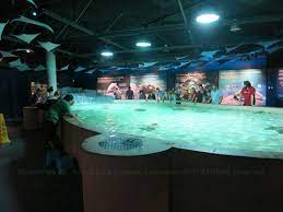 845 avison way, vancouver, bc v6g 3e2, canada vancouver aquarium price: Vancouver Aquarium In Stanley Park Vancouver Bc Canada Stanleyparkvan Com