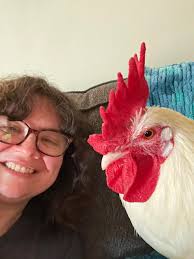 Chicken missing for days returns with limp leg