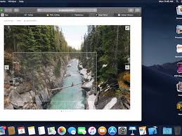 Safari Gains Favicon Support In Tabs On Ios 12 And Macos Mojave Macrumors