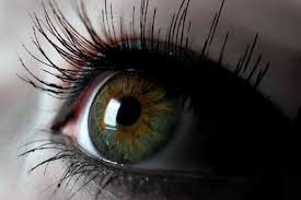 Farbige kontaktlinsencool green 2x grüne kontaktlinsen ohne stärke + gratis kontaktlinsenbehälter. Braune Augen Werden Grun Kunstliche Und Naturliche Wege