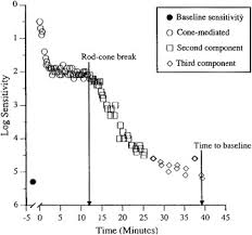 While institutions are components in systems, a single institutional form doesn't define a system, which is a set of interrelated processes with positive and negativ. Psychophysical Function In Age Related Maculopathy Sciencedirect