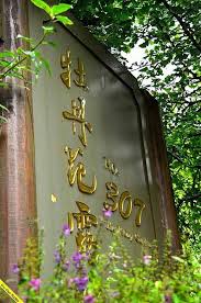 Image result for Stylochaeton tortispathus