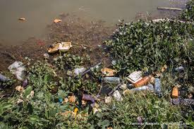 Post after AGES! We've started awareness programs at local schools this  year. And the first to invite us for a session was the Vidyaloka Vidyalaya  School in Hokandara. 🌳 Vidyaloka Vidyalaya is