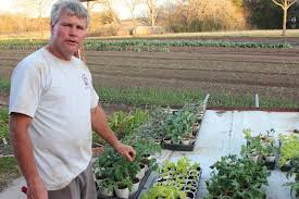 Tomato Tips From A Commercial Grower Growers Tomato Herb Garden