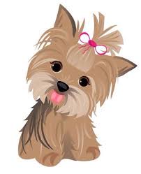Yorkie Cartoon Dog Drawing Cute Dogs Dog Art