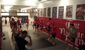 best mma and martial arts studios in