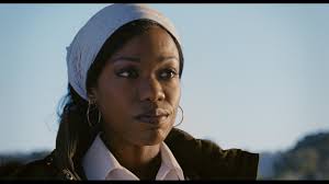 Warner Color — blog — John Daro