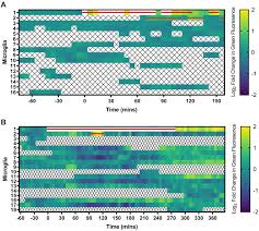 All rights reserved © 2017 k y lim & partners. Microglial Trogocytosis And The Complement System Regulate Axonal Pruning In Vivo Elife