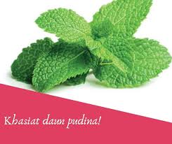 Assalamualaikum.kali ini saya mencoba membuat olahan cemilan yg enak tapi bergizi & bahan nya pun yg mudah didapatkan. Fc Bio Sanitary Khasiat Daun Pudina Selalu Mak Facebook