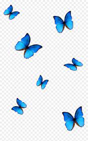 Transparent Background Butterfly Png For Editing Blue Butterfly Wallpaper Butterfly Background Blue Butterfly