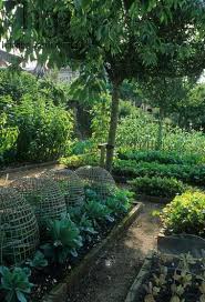 Vegetable Potager Kitchen Garden Raised Bed Border Food Eat Culinary Cook Cloche Walled Garden Hat Beautiful Gardens Garden Inspiration Vegetable Garden Design