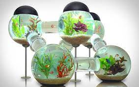 Aquarium ikan cupang akrilik acrylic betta fish aquarium akrilik unik aquarium unik betta tank shopee indonesia from cf.shopee.co.id. 10 Desain Aquarium Unik Untuk Hiasan Rumah Minimalis