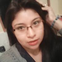 karen michell zamalloa flores