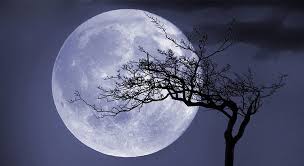 La lune du 01 février 2021. Jardiner Avec La Lune Le Calendrier Lunaire Pourquoi L Utiliser Avantages Permaculture Que Penser