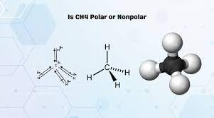 And also, since polar dissolves polar, would all polar structures be readily dissolve in water? Is Ch4 Polar Or Nonpolar Methane Polarity