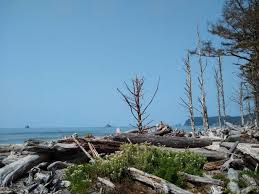 Hole in the wall rialto beach. Rialto Beach And Hole In The Wall Hike In Olympic National Park Ordinary Adventures