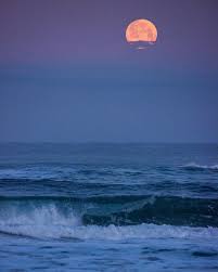 Mandi Bishop (@mandi_bishop_photography) • Instagram photos and videos