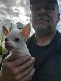 Happy 5th Gotcha day to Beth. Very grateful to Hope2hounds for giving me my  wonderful companion.