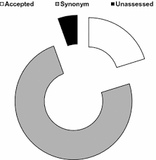 Image result for Ocimum urundense