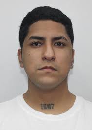 Otorongo ROMAN ALVAREZ, EDSON JOEL. DNI: 70818999