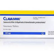 Clavamox for Pets: Dosage & Information | Petco