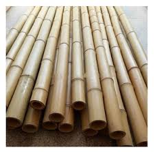 Bamboo Poles Steel - Durable & Versatile Solutions