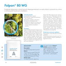 Image result for Metasphaeria diplodiella