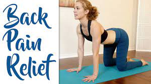 Back pain sciatica is a lay term that describes the symptoms of pain that originates with a lumbar nerve problem in your lower back and travels down your sciatic nerve—the nerve in the back of your leg. Fast Lower Back Pain Sciatica Pain Relief Beginners Yoga Stretches And Poses Youtube