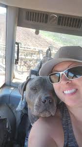 Hi all! I just wanted to introduce myself and share a photo I took. This is  my big boy Riddick & he loves helping me plow!!