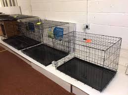 Wexford pet supplies, wexford, ireland. Wexford Pet Supplies