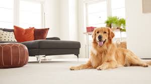 Check spelling or type a new query. Shop Carpet Flooring At Alford S Carpet One Floor Home Fort Smith