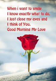 We did not find results for: 50 Good Morning Love Quotes To Romanticize Your Day