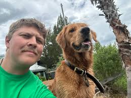 Is anyone available to help with short dog walks in the 77015 area?