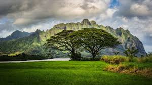 A collection of the top 65 hawaii wallpapers and backgrounds available for download for free. 40 Free Hd Hawaii Wallpapers For Download