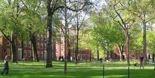 Harvard accepts the common application, which means your child will need the following to apply: Common App Essay For Harvard