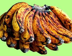Cara membuat pisang goreng supaya hasilnya enak dan renyah pilihlah pisang kepok yang sudah matang dan menggunakan tepung roti untuk rasa minyak untuk menggoreng secukupnya. Pisang Ulin Enak Di Goreng Https Encrypted Tbn0 Gstatic Com Images Q Tbn And9gctwyxfbo Wqjusszv28qbfums2ioq9bgyexc1q 408olrejgngg Usqp Cau Ada Rasa Dan Aroma Karamel Gosong Lantaran Pisang Kematangan Ditambah Madu Lila Benton