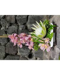 Artistry in flowers promo code. Shop By Flowers Delivery Kailua Kona Hi Kona Flower Shoppe