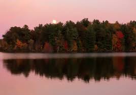 October 16, 2024 The brightest supermoon and full moon of 2024