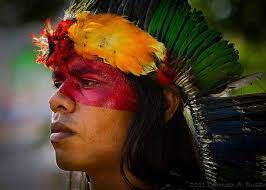 Un Coloratissimo Indio Guarani Del Brasile Native People Indigenous Culture People Of The World