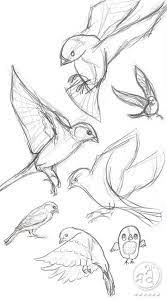 Pin On Animal Sketches