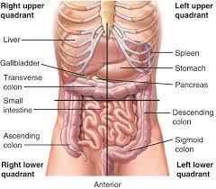 Left side abdominal pain can be caused both by organs and structures on the left section of the abdomen as well as those located away from the rectus sheath haematoma can cause a mass that causes considerable pain. Abdominal Pain Assessment Medictests