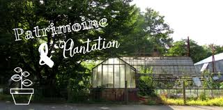 Un dimanche au jardin d'agronomie tropicale. Le Surprenant Jardin D Agronomie Tropicale Paris Sur Un Fil