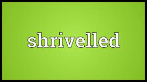 Leaves die, fall, and shrivel. Shrivelled Meaning Youtube