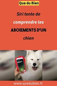 Siri Tente De Comprendre Les Aboiements D Un Chien Lockscreen